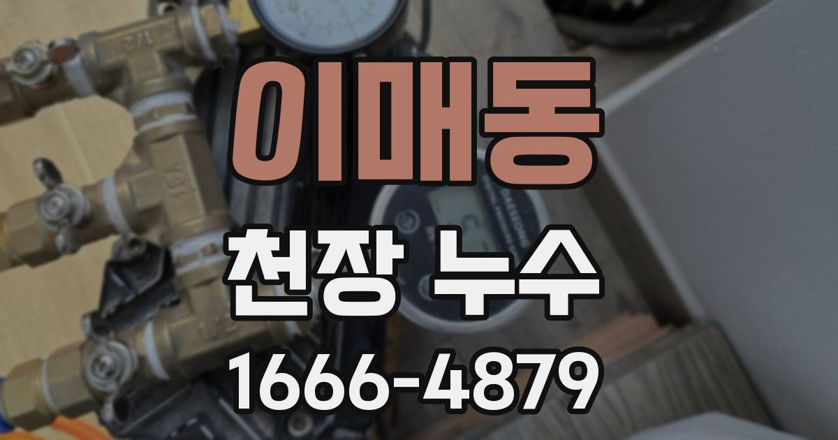 이매동 천장 누수