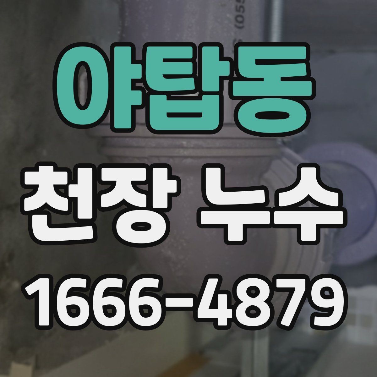 야탑동 천장 누수 타일 줄눈 문제로 아래집 천장이 젖는 경우