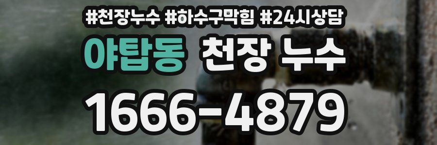 야탑동 천장 누수