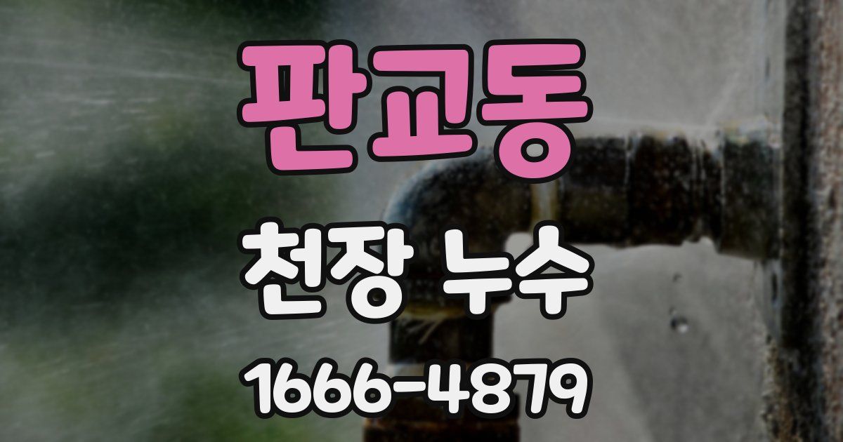 판교동 천장 누수