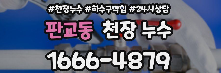 판교동 천장 누수