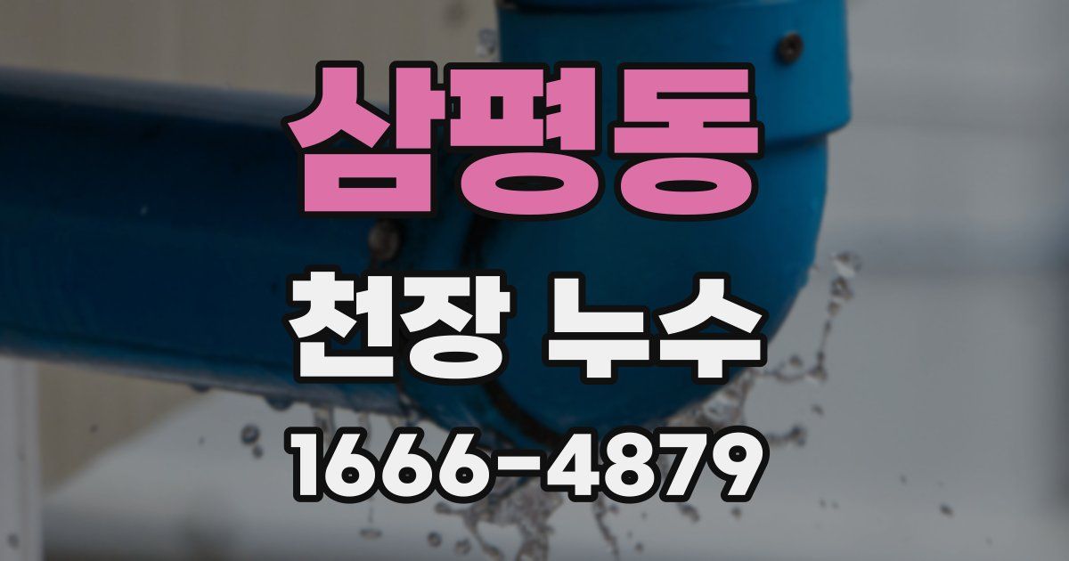 삼평동 천장 누수