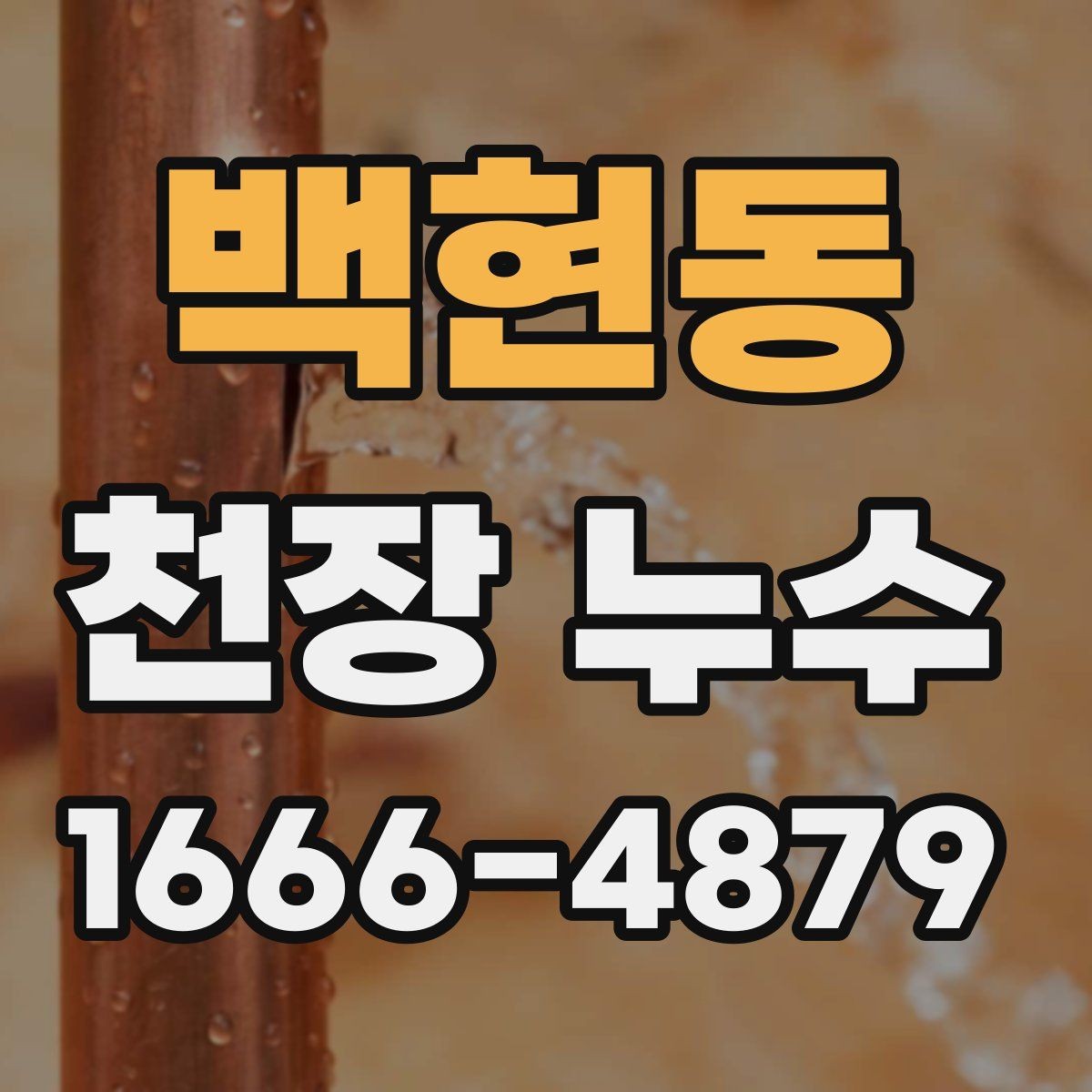 백현동 천장 누수 위치가 애매할수록 기록이 중요합니다