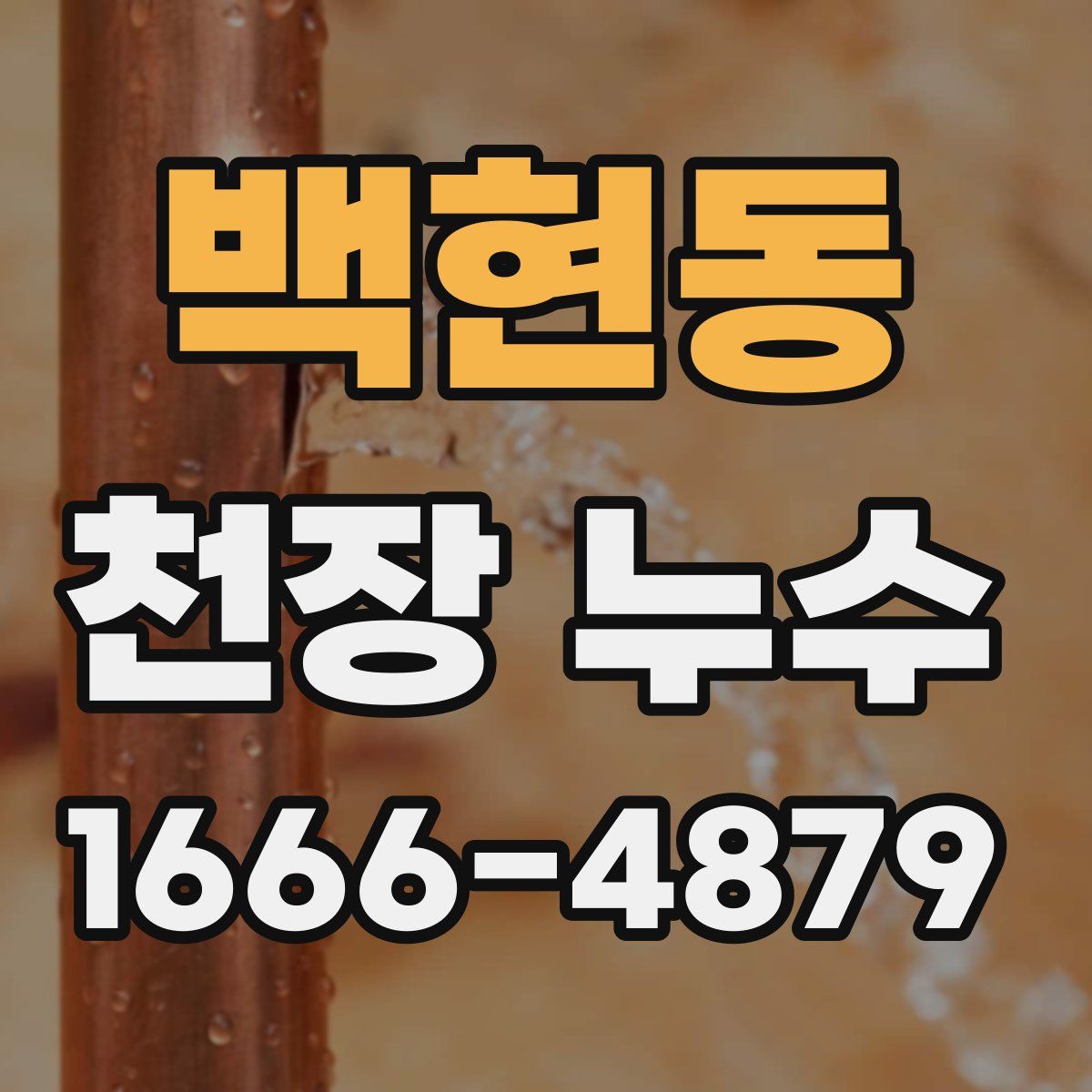 백현동 천장 누수