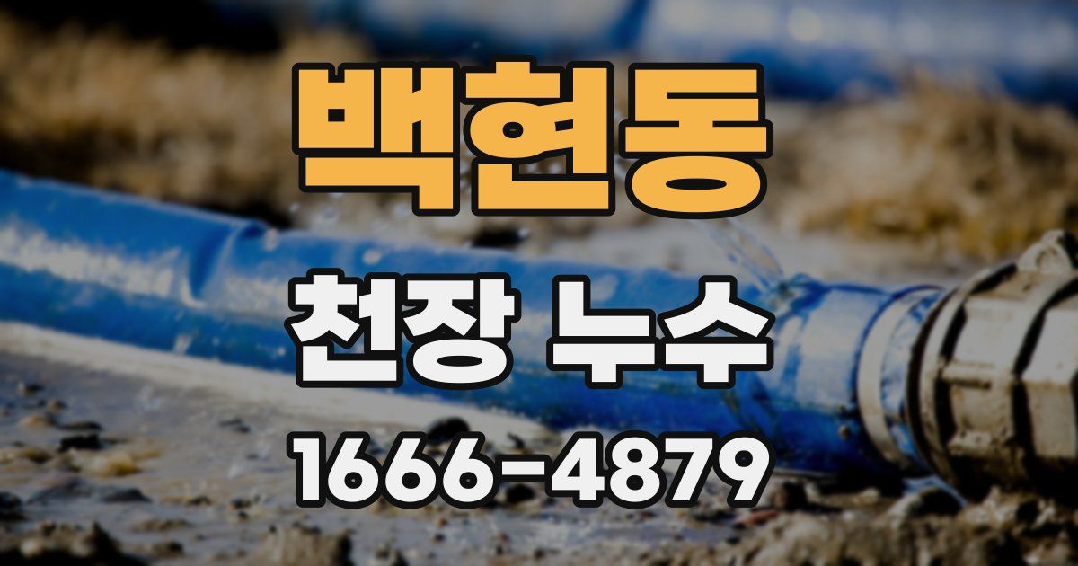 백현동 천장 누수