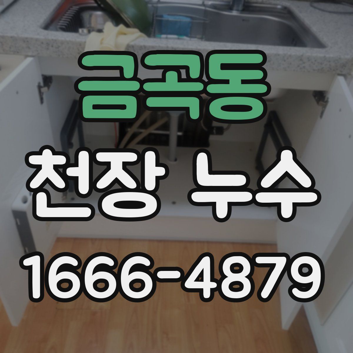 금곡동 천장 누수