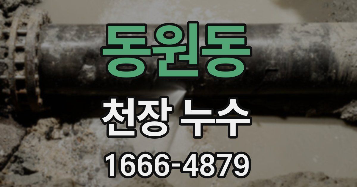 동원동 천장 누수