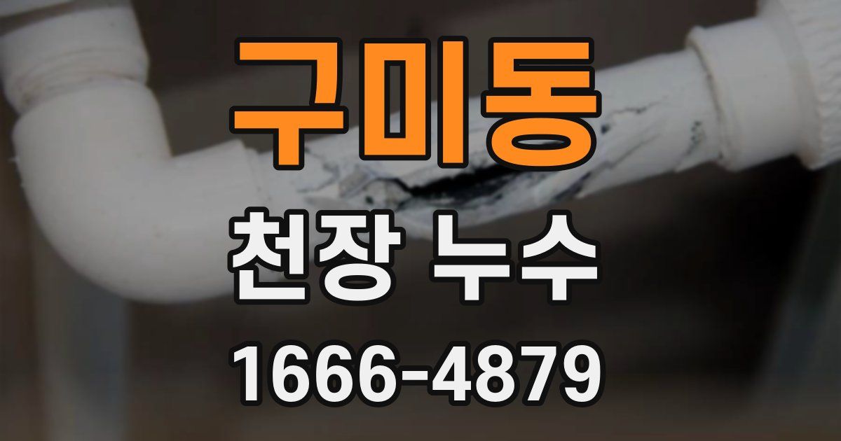 구미동 천장 누수