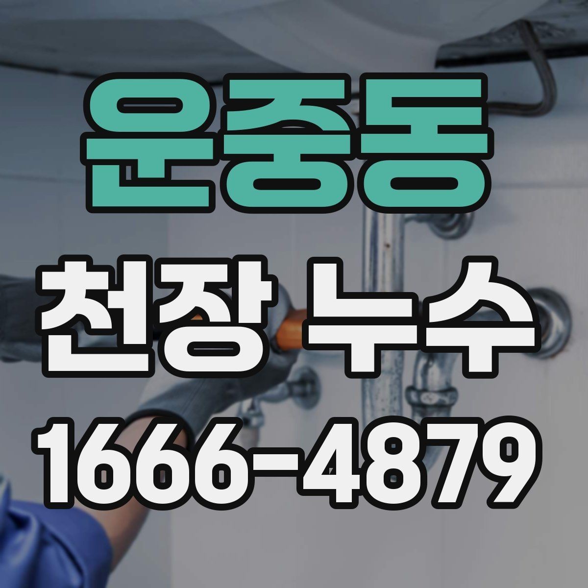 운중동 천장 누수 배수관 문제로 천장이 젖어 보일 때