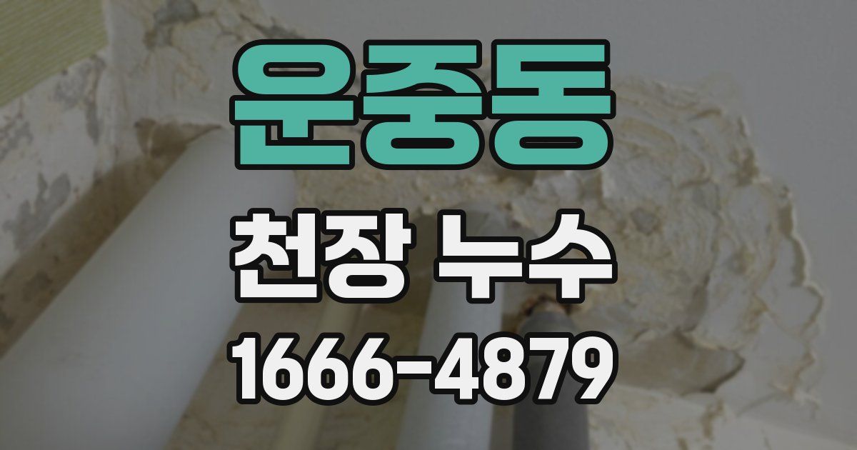 운중동 천장 누수