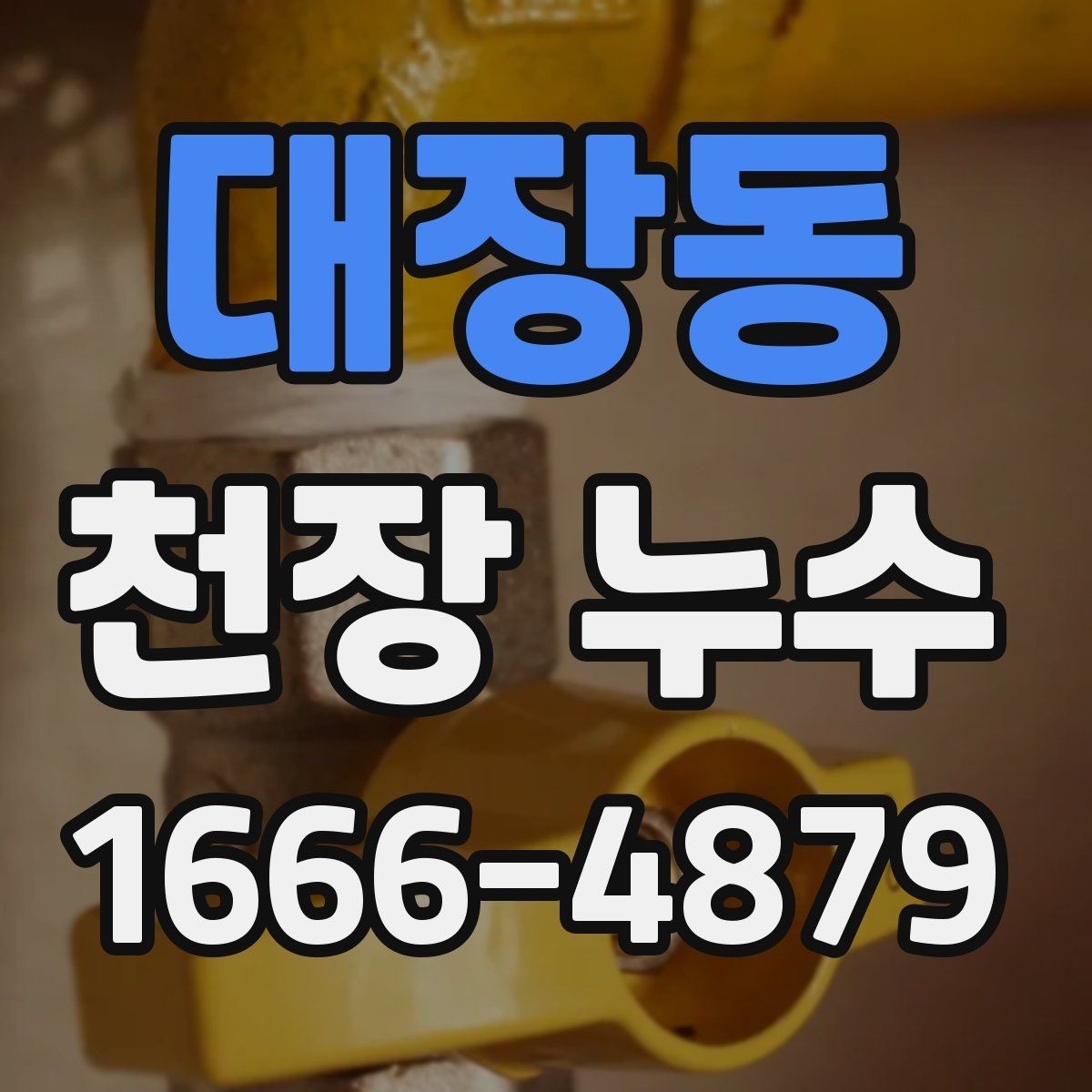 대장동 천장 누수 천장 곰팡이 냄새가 심해지면 원인 확인