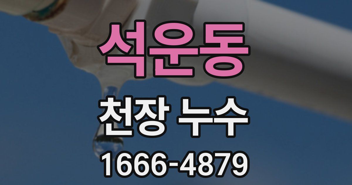 석운동 천장 누수