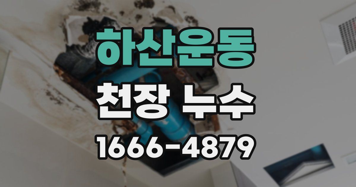 하산운동 천장 누수