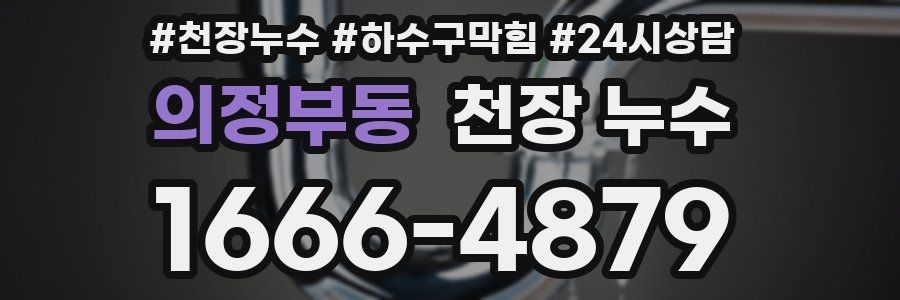 의정부동 천장 누수