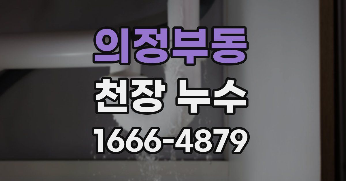 의정부동 천장 누수