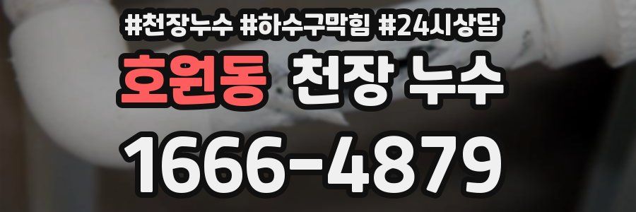 호원동 천장 누수