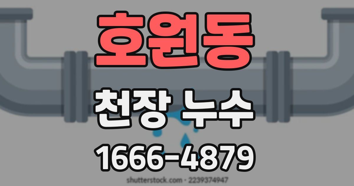 호원동 천장 누수