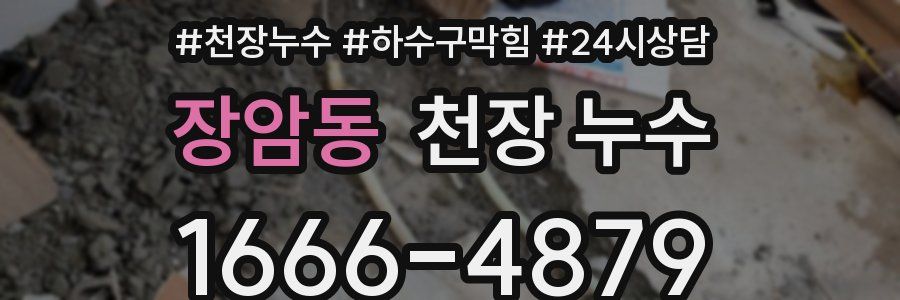 장암동 천장 누수