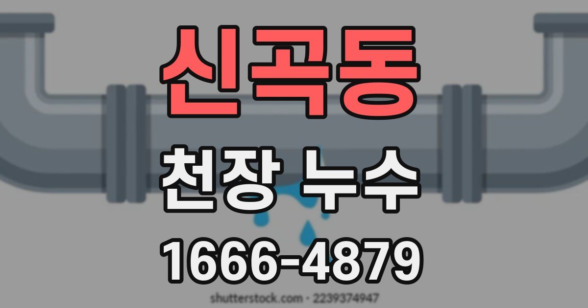 신곡동 천장 누수