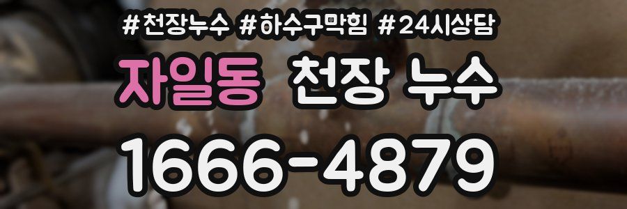 자일동 천장 누수