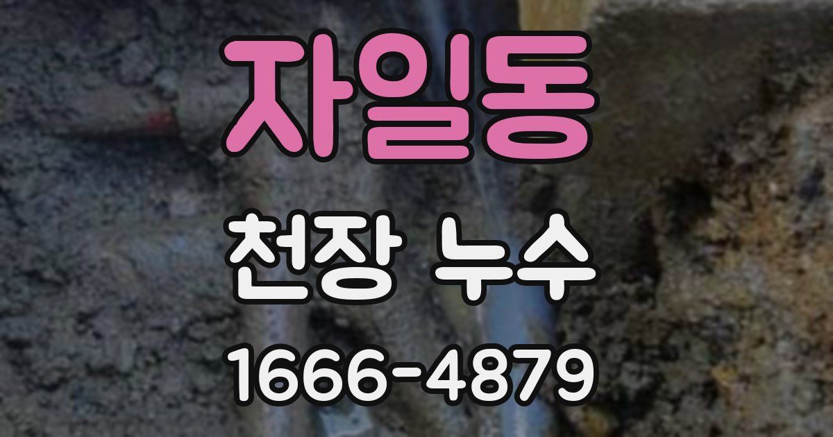 자일동 천장 누수