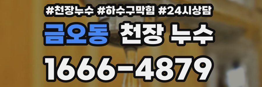 금오동 천장 누수