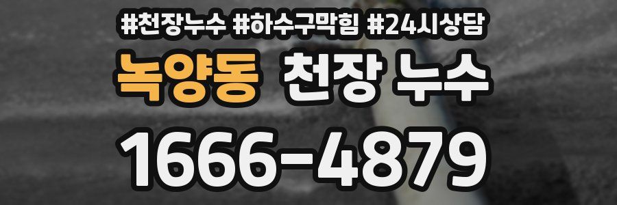 녹양동 천장 누수