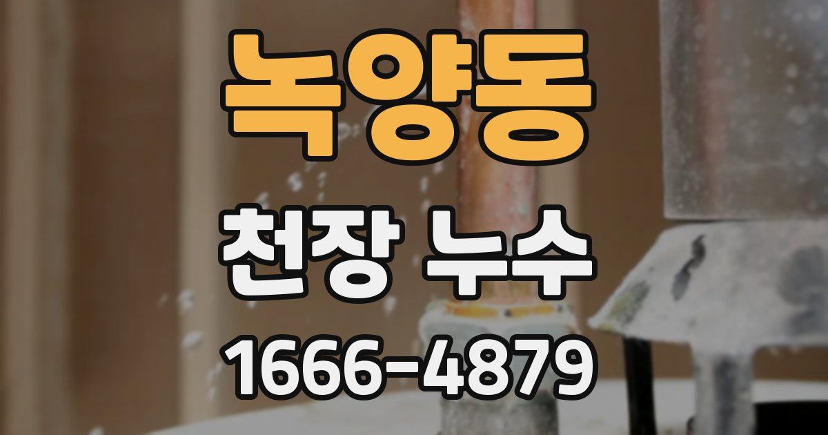 녹양동 천장 누수