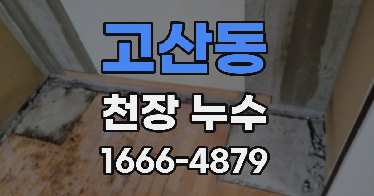 고산동 천장 누수