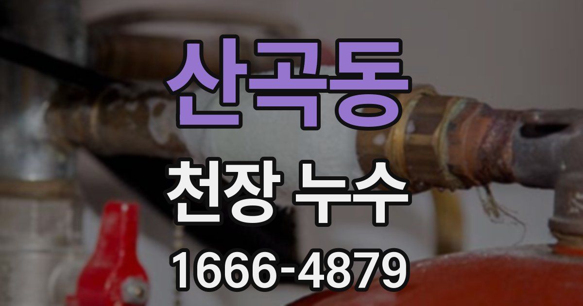 산곡동 천장 누수