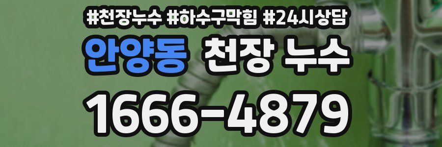 안양동 천장 누수