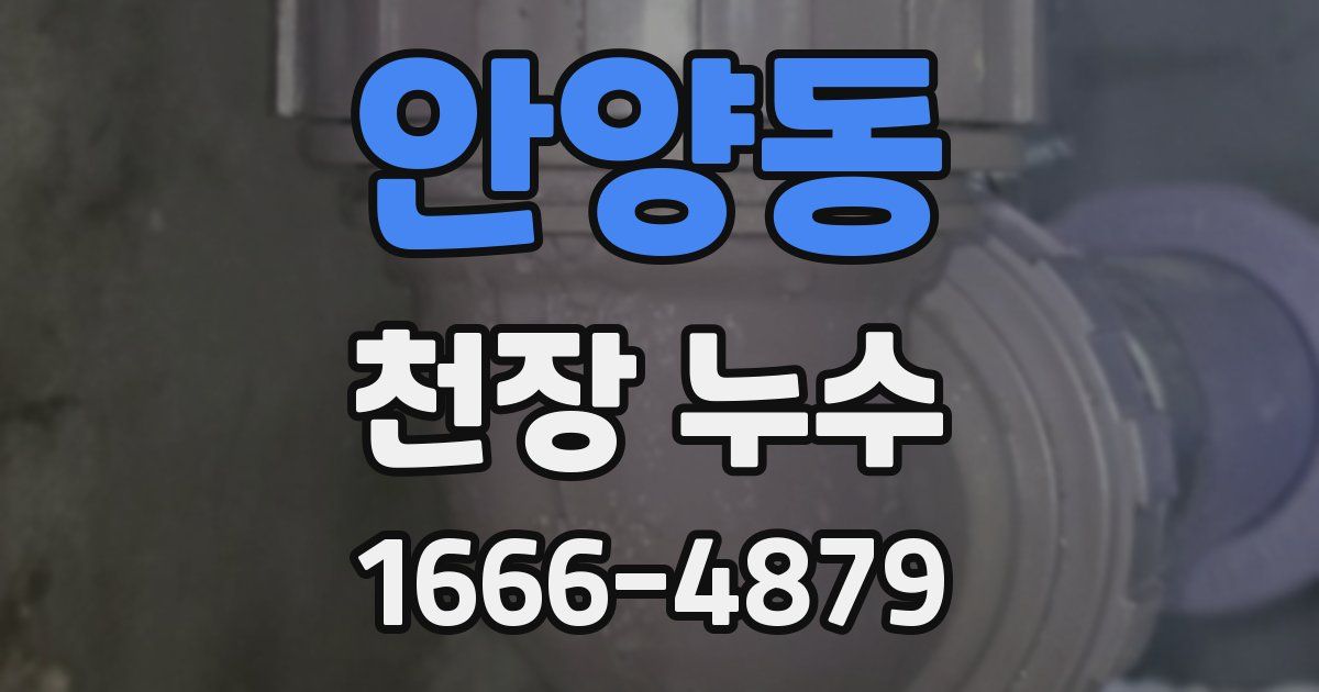 안양동 천장 누수