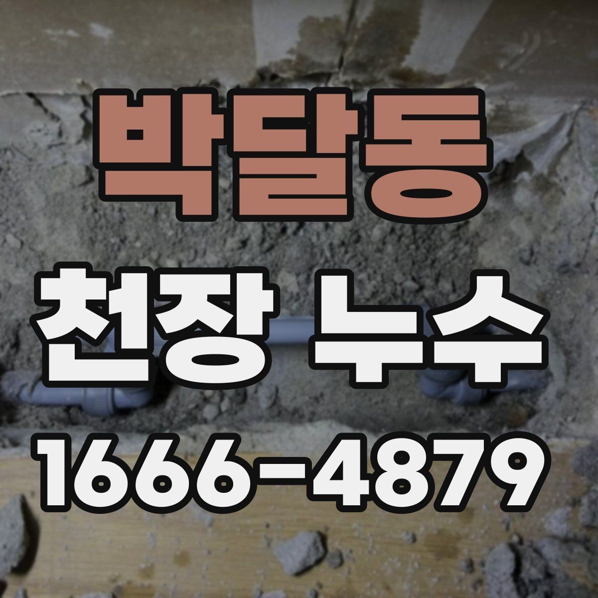 박달동 천장 누수 벽까지 젖는 상황을 막기