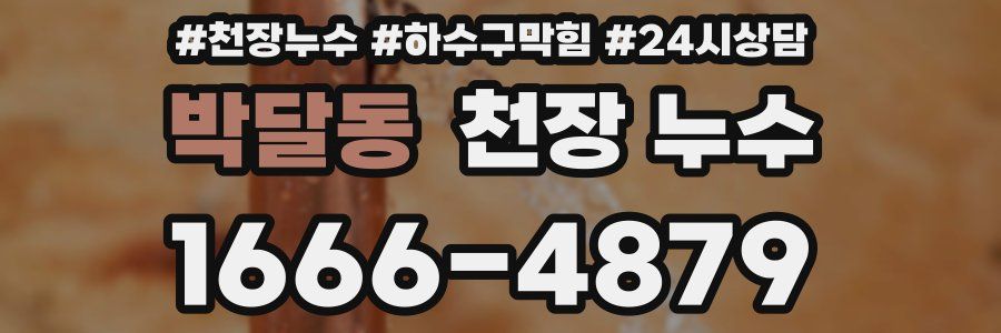 박달동 천장 누수