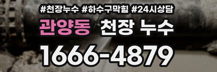 관양동 천장 누수