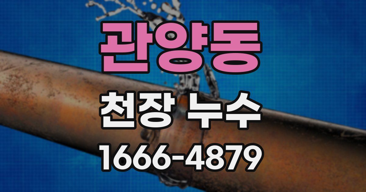 관양동 천장 누수