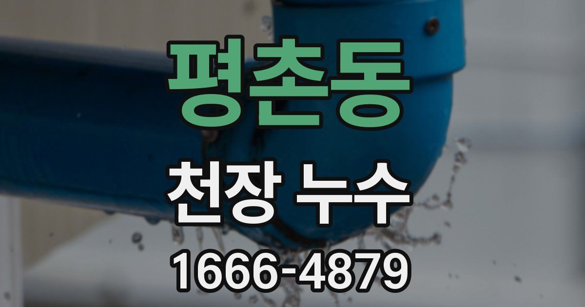 평촌동 천장 누수