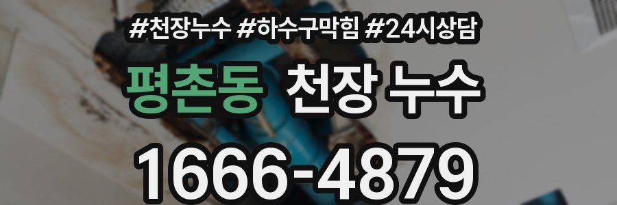 평촌동 천장 누수