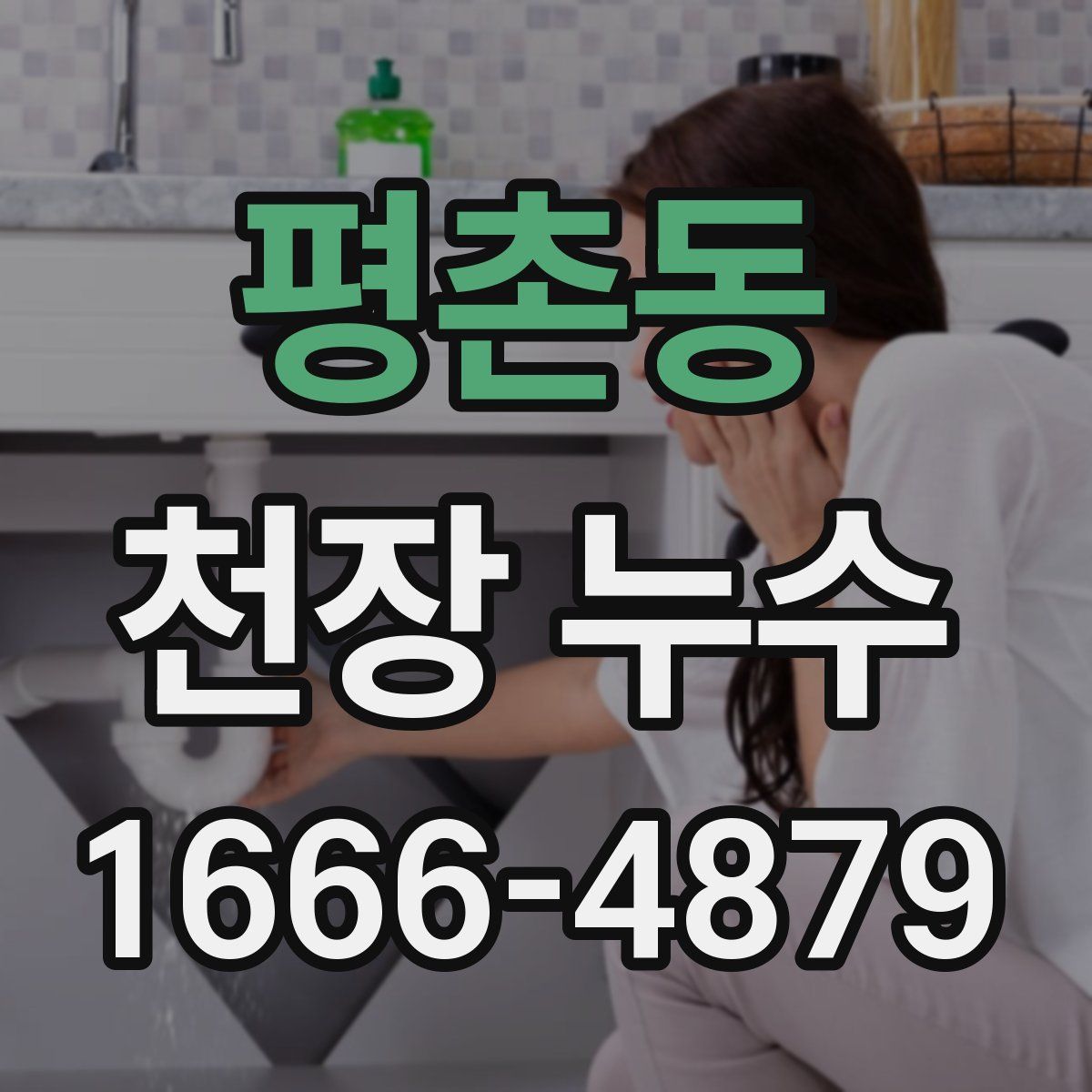 평촌동 천장 누수