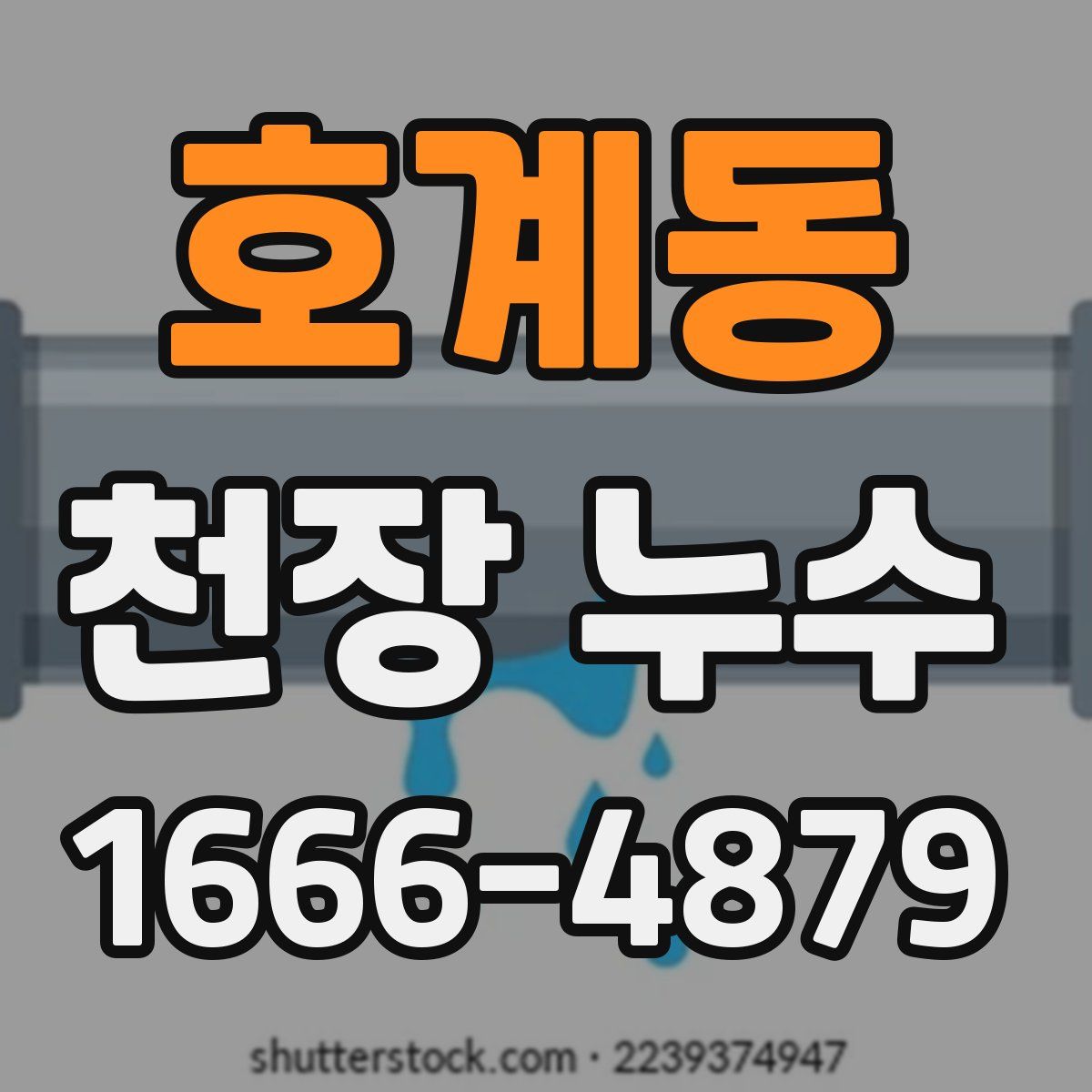 호계동 천장 누수