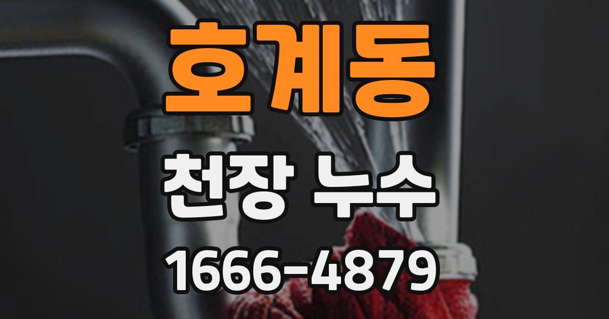 호계동 천장 누수