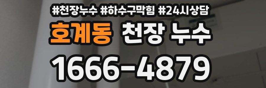 호계동 천장 누수