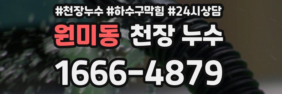 원미동 천장 누수