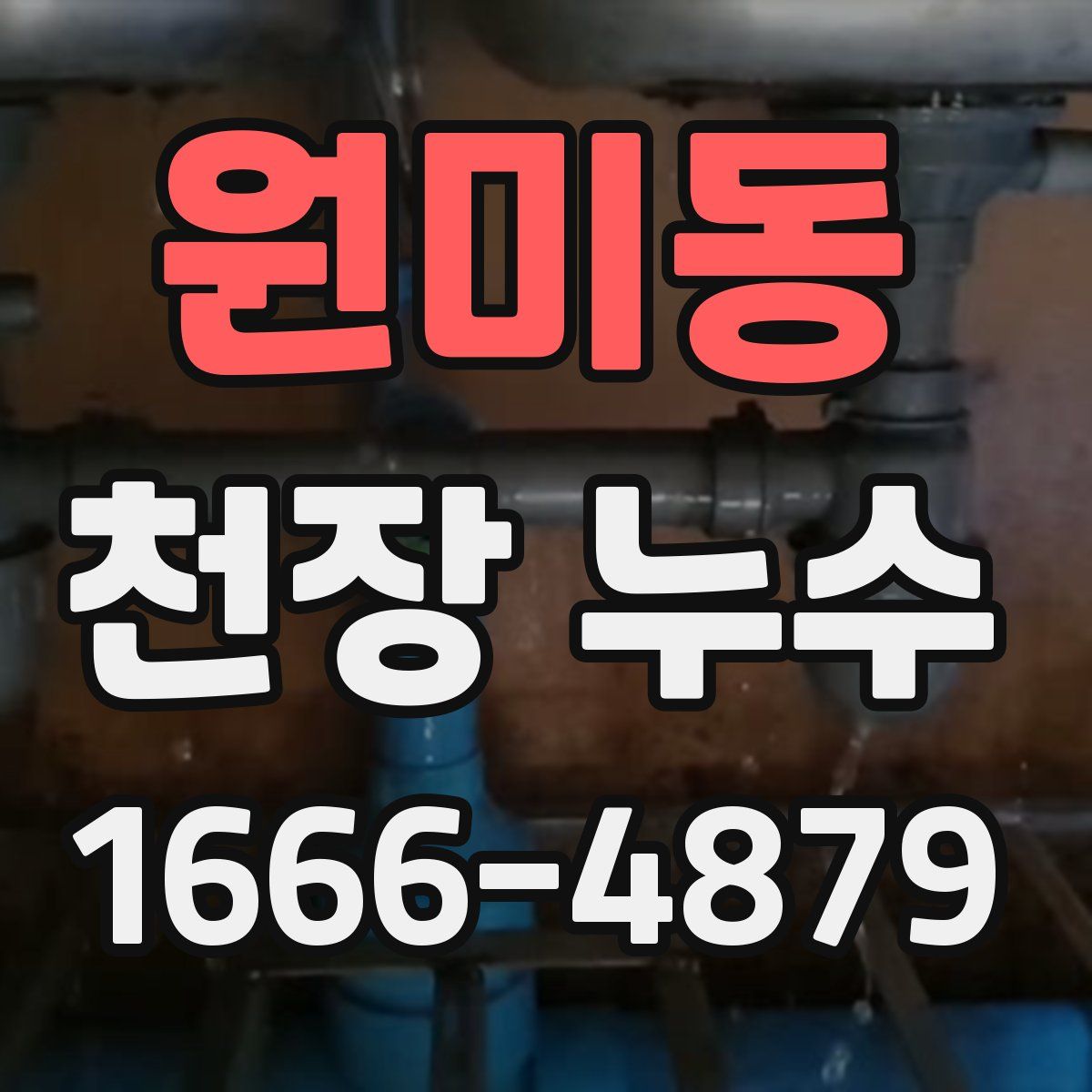 원미동 천장 누수