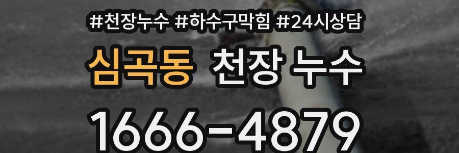 심곡동 천장 누수