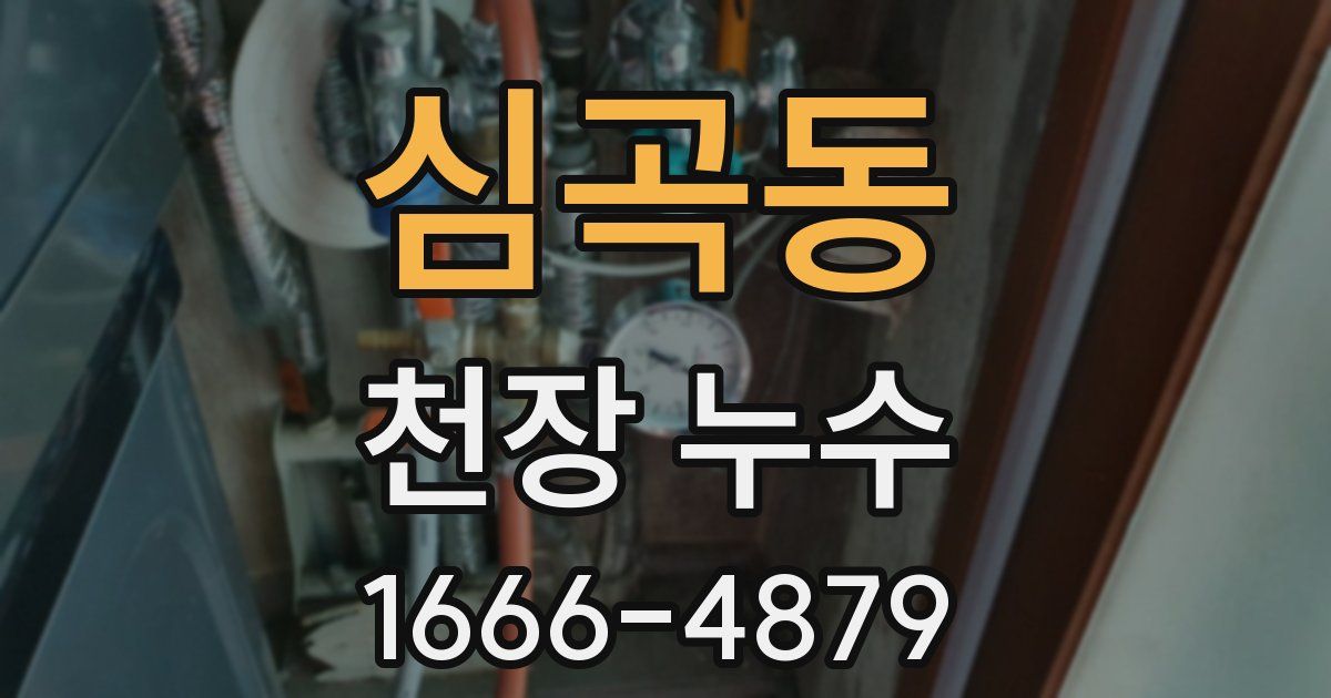 심곡동 천장 누수