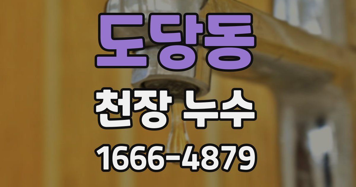 도당동 천장 누수