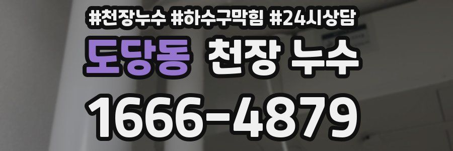 도당동 천장 누수