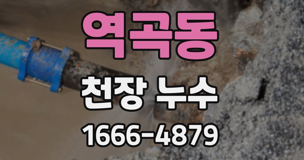 역곡동 천장 누수