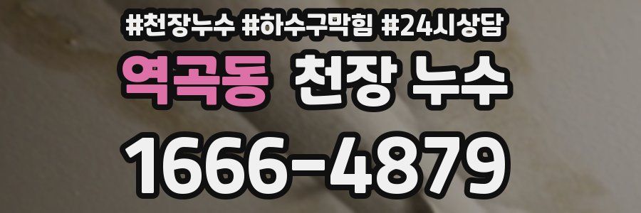 역곡동 천장 누수